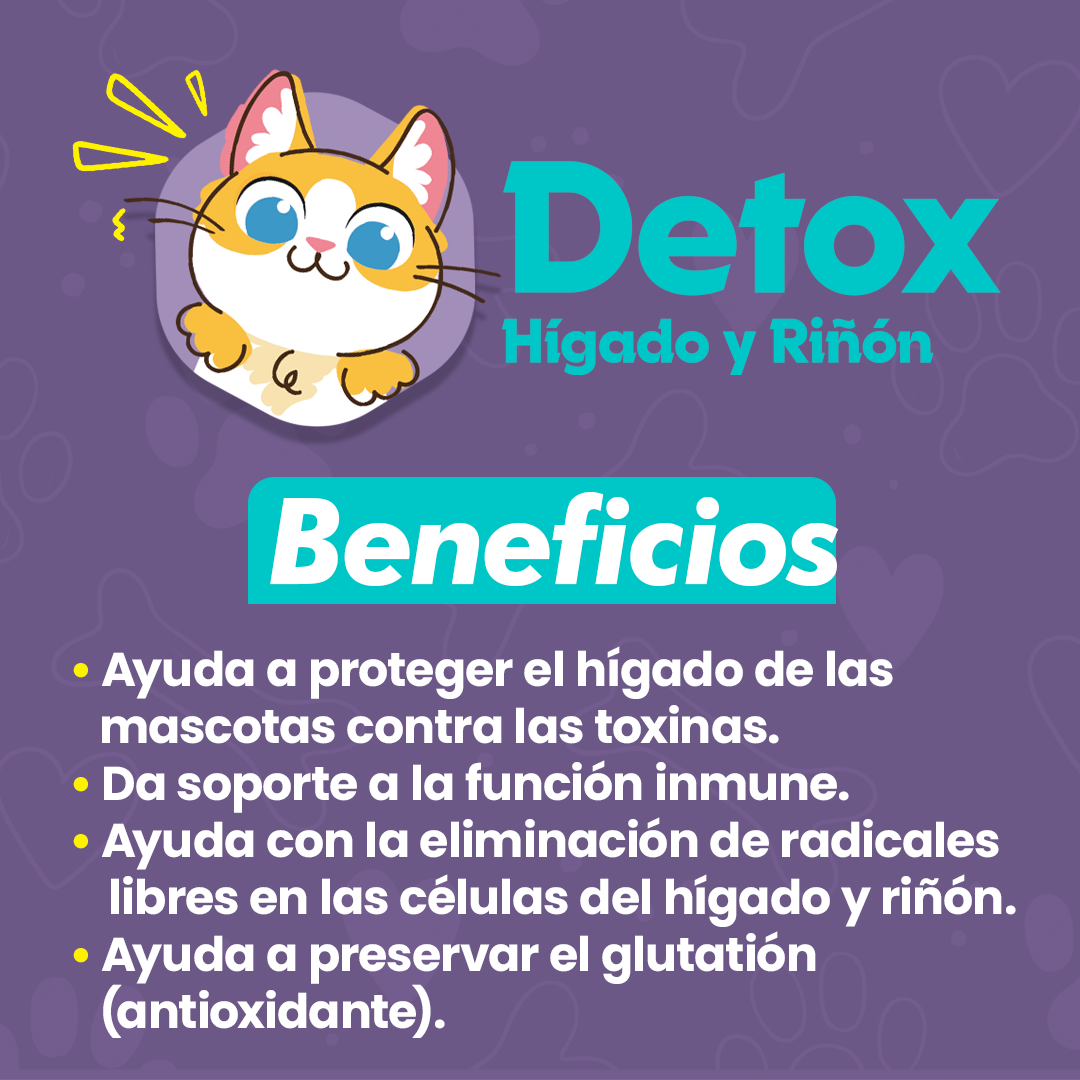 Detox Hígado y Riñón