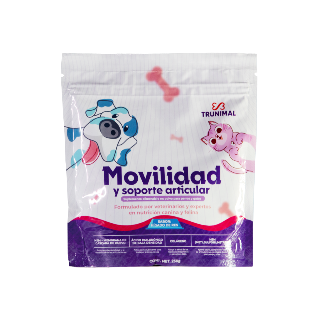 Movilidad y Soporte Articular