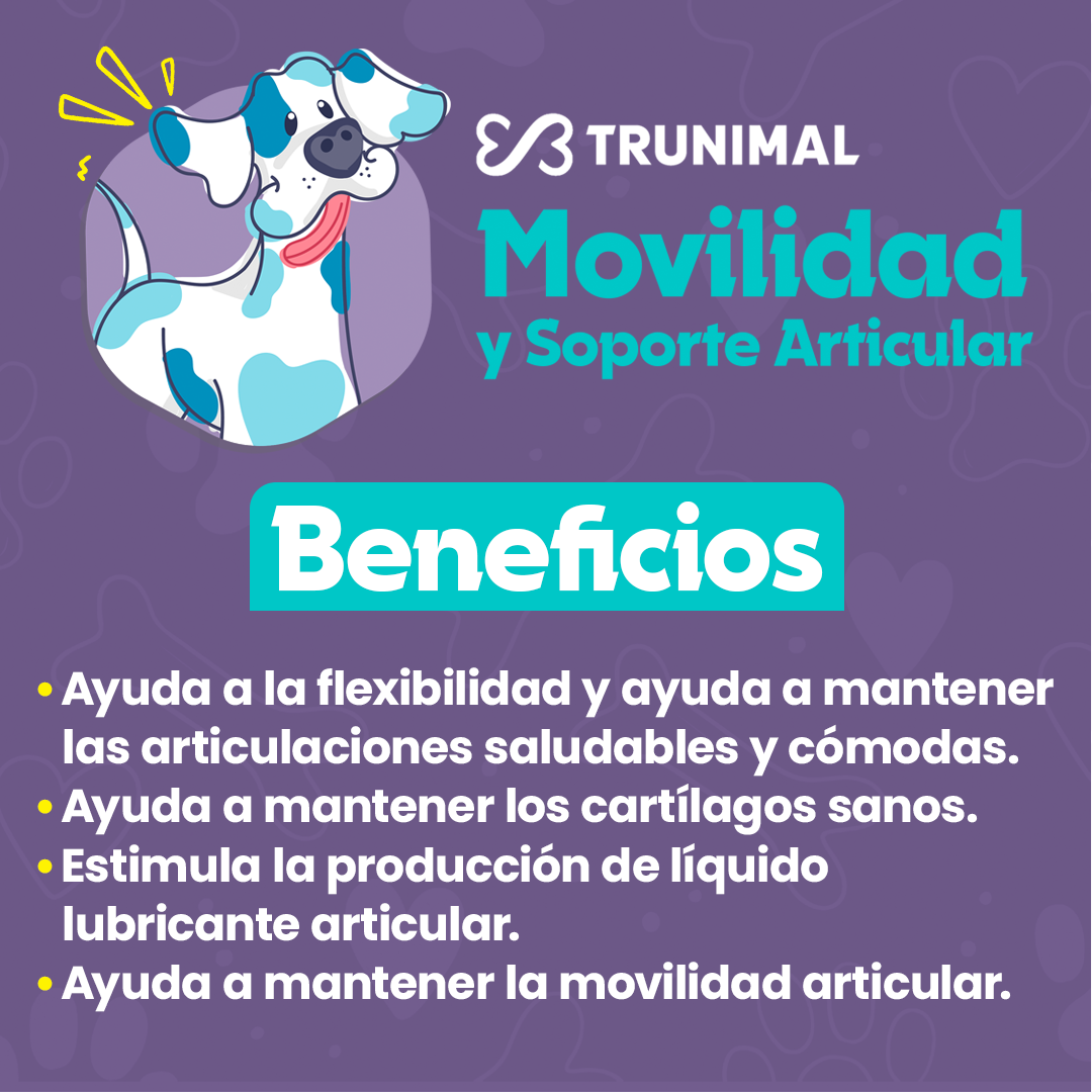 Movilidad y Soporte Articular