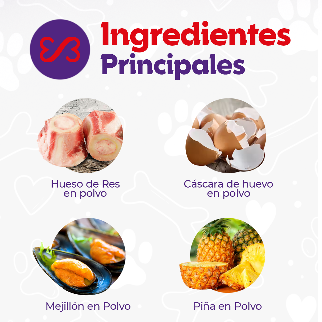Movilidad y Soporte Articular