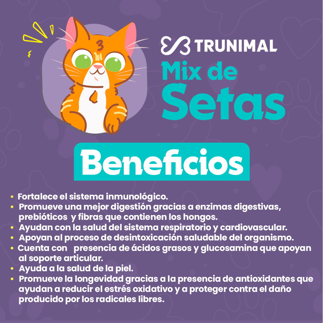 Mix de Setas Fermentadas